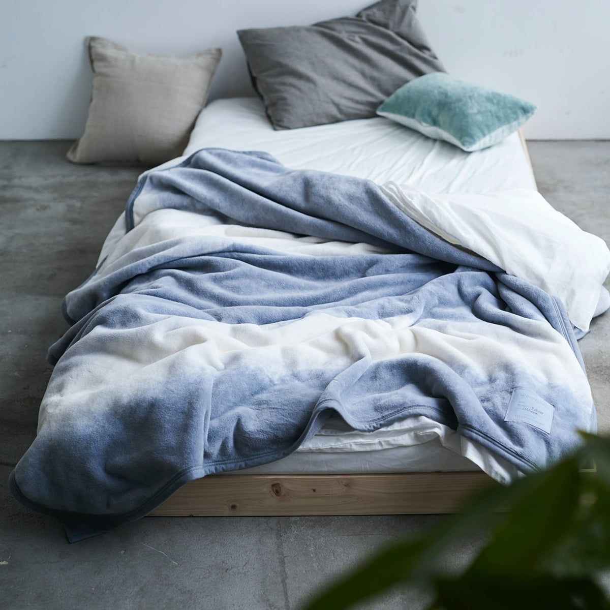 Flood of Light Cotton New-Mayer for BED