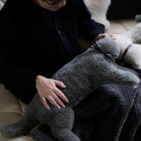 SERENE4.0 MERINO WOOL CAT Body Pillow