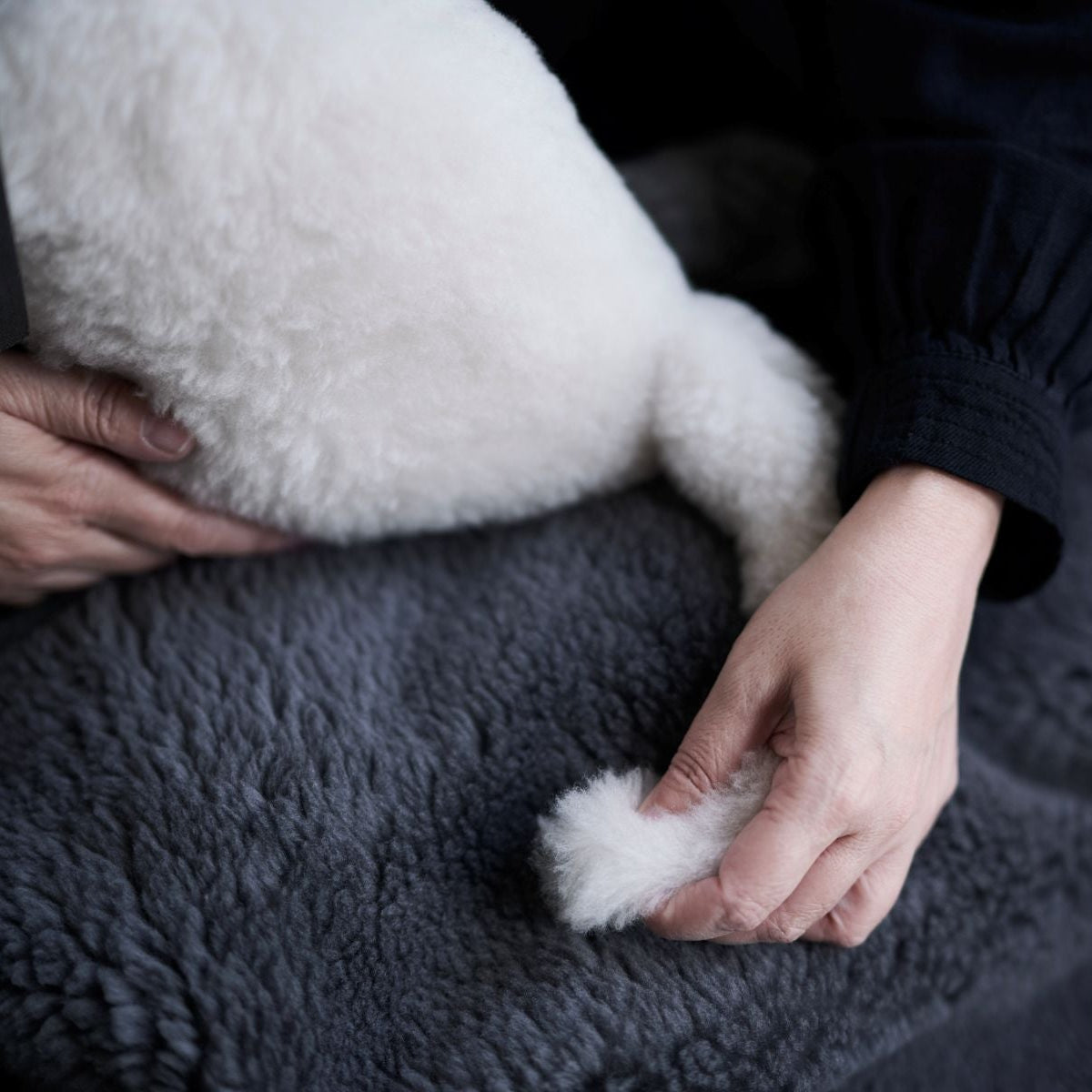 SERENE4.0 MERINO WOOL CAT cushion