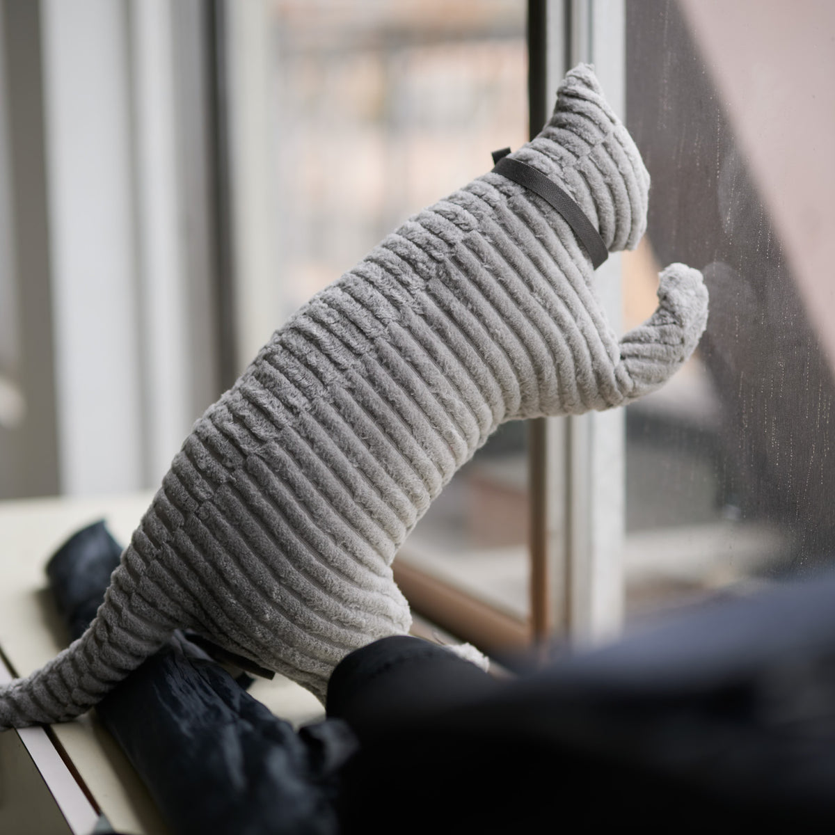 GRAU COTTON CAT Body Pillow