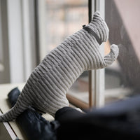 GRAU COTTON CAT Body Pillow