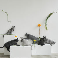 GRAU COTTON CAT Body Pillow