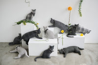 Fab Cat VENT LINEN Cat Cushion