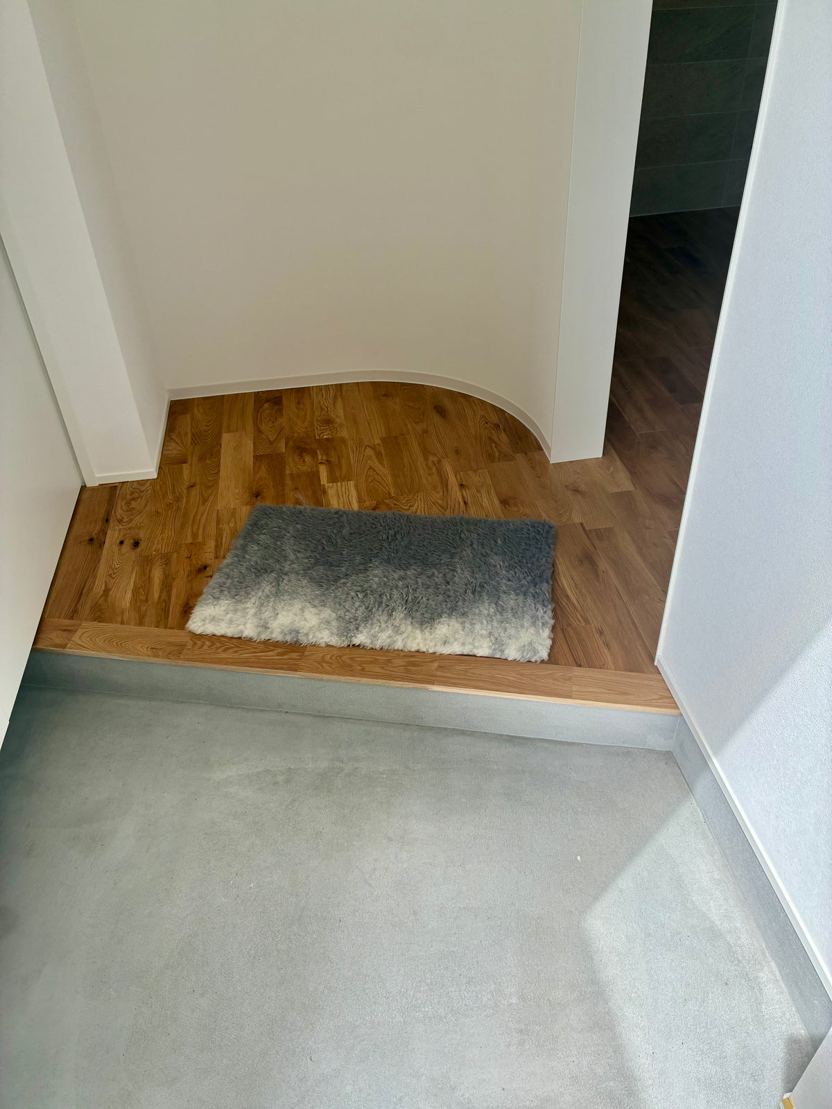 Flood of Light Wool Door Mat