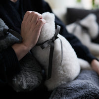 SERENE4.0 MERINO WOOL CAT cushion